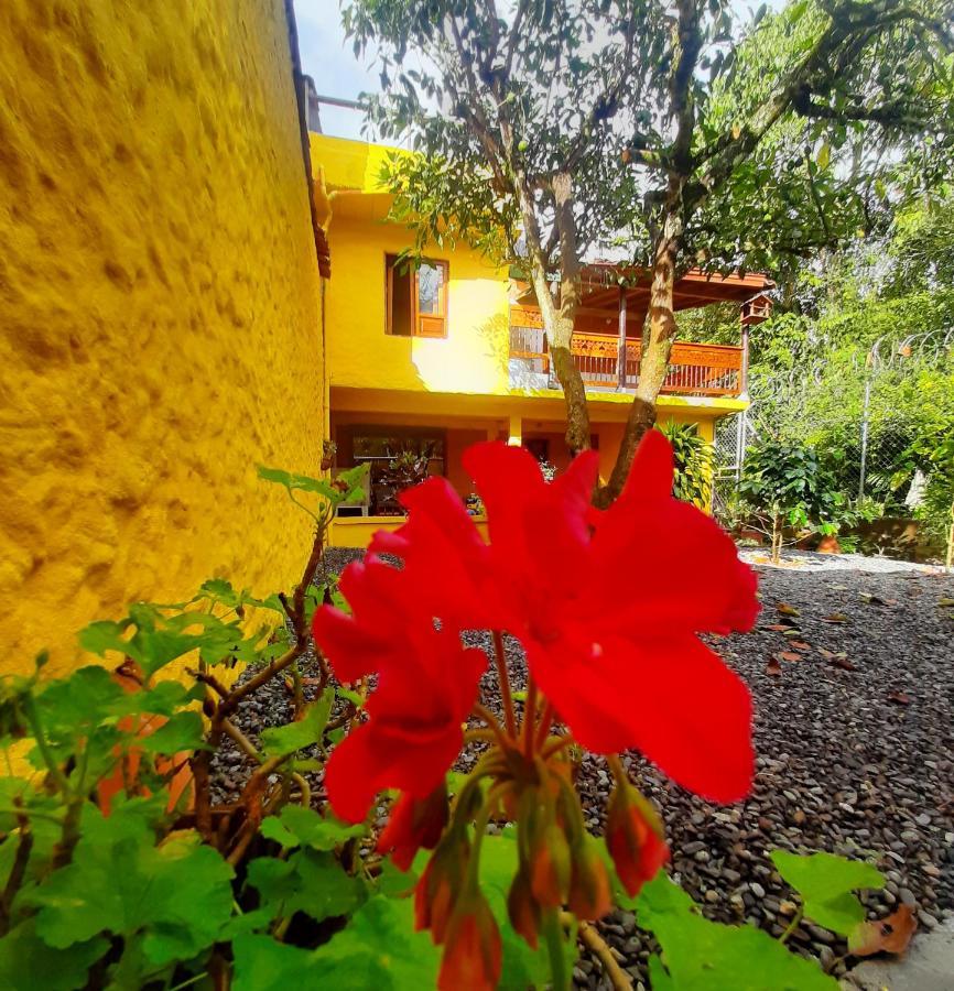 Cafe Racer Hostel คาร์ดิน ภายนอก รูปภาพ